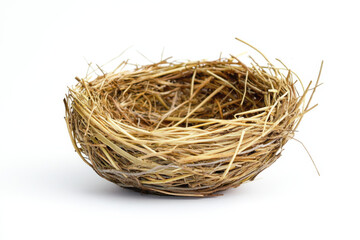 Obraz premium Close-up of an empty bird nest, symbolizing species loss and the impact on ecosystems