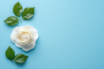 Naklejka premium White Rose and Green Leaves on Blue Background