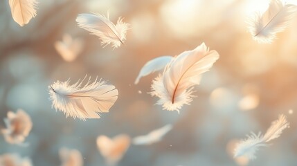 A creative snapshot of feathers floating in mid-air with soft focus 