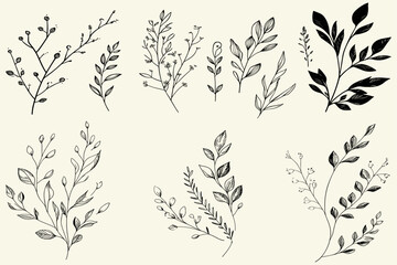 Eucalyptus floral branches of different types, including silver dollar, blue gum, seeded, and baby blue, with hand-drawn wedding herb leaves, offering an elegant touch to any celebration.