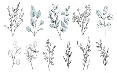 Botanical greenery and floral branch, hand-drawn wedding herb for save-the-date cards, elegant leaves and trendy minimalist flowers for decor.