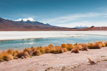 High-altitude lagoon with blue water and salt surface in Altiplano plateau, Bolivia.