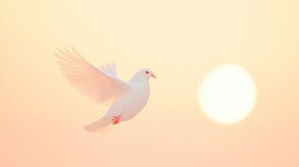 Fototapeta premium Dove in Flight at Golden Sunset, a serene scene depicting a dove gliding through vibrant hues of orange and gold, embodying themes of peace, hope, and new beginnings.