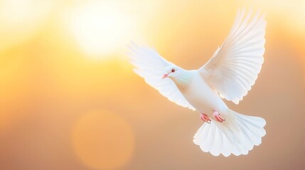 Fototapeta premium Dove in Flight at Golden Sunset, a symbol of peace and hope, gracefully soaring through the sky, embracing the warmth of a vibrant sunset, evoking new beginnings and tranquility.