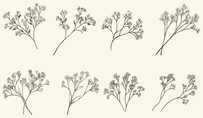 Limonium and baby's breath plant logo with elegant monogram and hand-drawn leaves for wedding save the date and invitation card