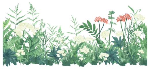 Gordijnen Olijf Beautiful panoramic seamless vector illustration of a meadow, featuring a mix of vibrant flowers and diverse forest plants in a serene landscape.  © aura studio