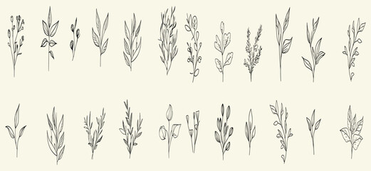 Rustic botanical floral frame with trendy greenery, hand-drawn wedding herb, minimal flowers, and elegant leaves vector.