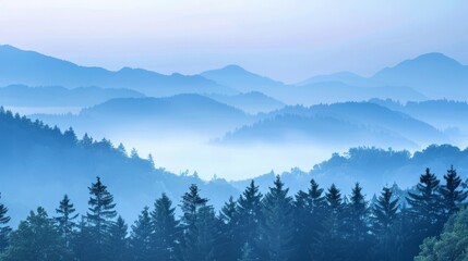 A peaceful dawn scene with dense pine trees shrouded in layers of blue mist.
