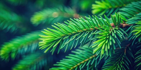 A close-up of a lush evergreen branch, showcasing the intricate detail and vibrant green hues of nature's needle-like foliage