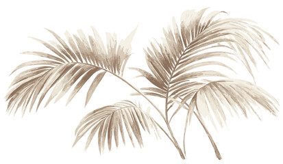 Obraz premium Old Botanical Art of Palm Fronds, Vintage Sepia Tone Illustration, Palm Leaf Vector Drawing, Retro Botanical Design, Sepia Palm Fronds, Natural Vintage Palm Art, Palm Leaf Sketch