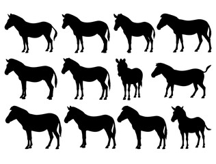 ZEBRA SILHOUETTE ON WHITE BACKGROUND