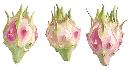 Vintage Dragon Fruit Artwork in Soft Pink and Green Pastel Shades, A Timeless Illustration of Old-Style Fruit with Subtle Artistic Charm for Elegant Decor © aura studio