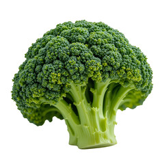 broccoli isolated on white background