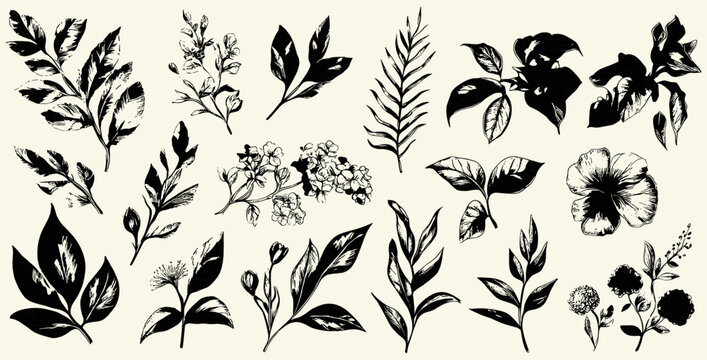 Elegant vintage style botanical collection with hand-drawn plant nature elements, featuring intricate details and timeless design