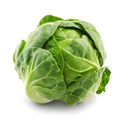 Obraz premium Fresh Green Cabbage Isolated on White Background for Culinary Use