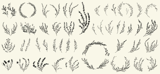 Feminine rustic lavender wreath, botanical wedding wildflowers, floral design elements, vector illustration for save the date and invitation card