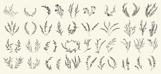 Hand-drawn vector leaves set, decorative illustration elements for detailed creative projects, perfect for digital art, graphics, and design