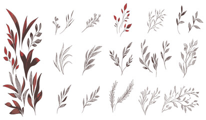 Set of vintage floral elements, retro botanic frame, wavy borders, boho branches and leaves print for social media, packaging, and wedding cards.