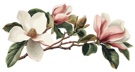 Vintage botanical decor with a blooming magnolia branch, soft pink petals, white blooms, detailed green leaves, and natural pastel hues. © aura studio