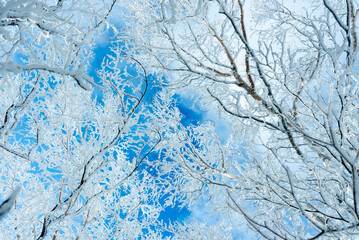 赤城山の雪晴れ09