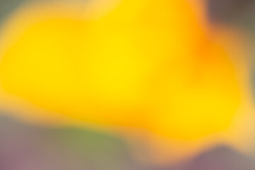 Defocused blurred yellow abstract pattern background