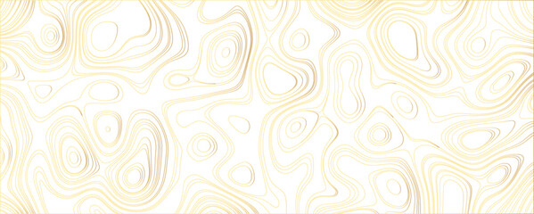 Classic Hand-Illustrated Topographic Contour Map with Vintage Shading and Engraved Elements

