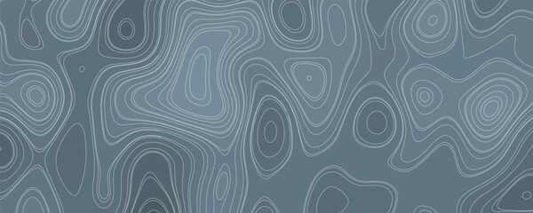 High-Contrast Black and White Topography Vector with Clean Elevation Linework and Precision

