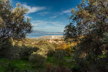 Vista della città di Reggio Calabria dalle campagne