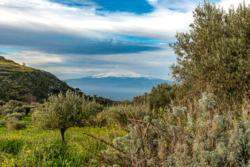 Vista dell'Etna incorniciata tra la vegetazione della campagna calabrese