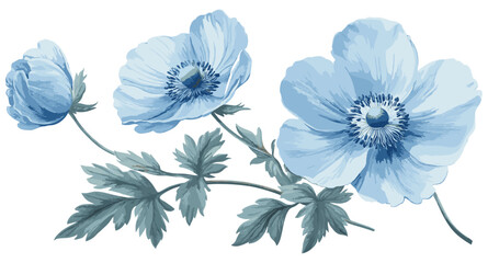 A vintage blue anemone botanical illustration, perfect for adding elegance to holiday designs, capturing the beauty of nature with soft tones and detailed floral art for seasonal decor