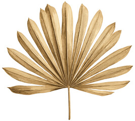 Vintage Palm Leaf Illustration, Sepia-Toned Drawing, Faded Vector Art, Tropical Palm, Retro Palm Leaf, Hand-drawn Palm, Antique Drawing, Nature Illustration, Palm Vector Art