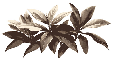 Vintage Tropical Plant Illustration, Neutral Vector Art, Botanical Illustration, Tropical Leaves, Vintage Vector Design, Retro Plant Artwork, Exotic Plant Drawing, Botanical Art Design