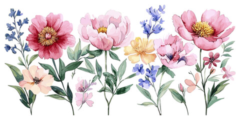 Obraz premium Watercolor floral collection featuring pink peonies, botanical elements, and detailed floral patterns, isolated on a clean white background for a fresh and vibrant aesthetic.