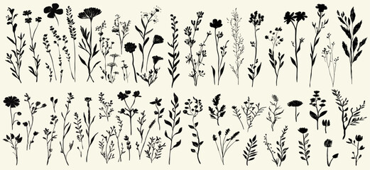 Grunge botanical clip art, abstract wild flowers and herbs, hand drawn meadow plants, black dried flowers, modern botanical silhouettes, artistic plant designs, wild flowers collection, dried botanica