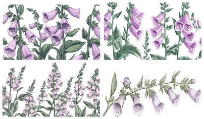Soft purple flowers, dark green stems, beautifully detailed Foxglove engraving, 1810s sketch style, botanical art, vintage floral designs, antique illustration, nature-inspired decor.