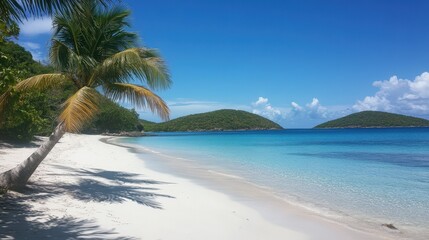 Obraz premium Tropical Island Beach with Palm Trees and Pristine Blue Waters