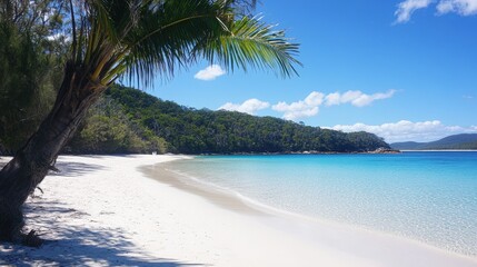 Fototapeta premium Tropical Island Beach with Palm Trees and Pristine Blue Waters