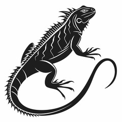 Marine Iguana  vector silhouette black design white background