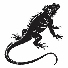 Marine Iguana  vector silhouette black design white background