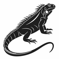 Fototapeta premium Marine Iguana vector silhouette black design white background