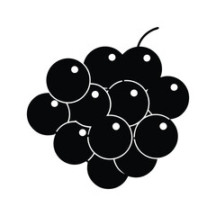 bunch of grapes isolated on white vector illustration