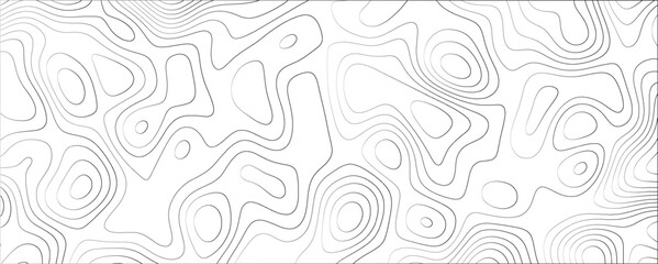 Aesthetic and Modern Topographic Vector Design with Fine Line Art and Subtle Textural Elements

