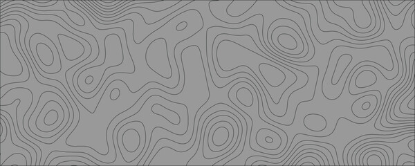 Aesthetic and Modern Topographic Vector Design with Fine Line Art and Subtle Textural Elements

