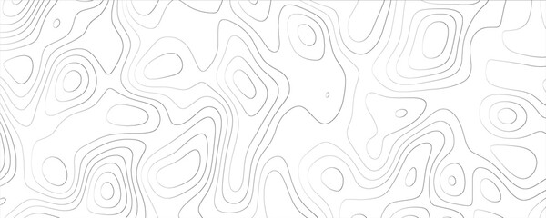 Minimalistic and Stylish Topographic Vector Art with Simplified Contours and Modern Appeal

