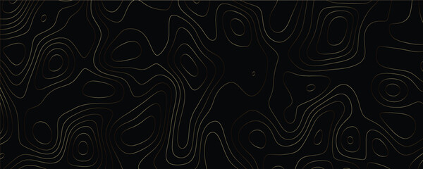 High-Resolution Topographic Line Drawing with Fine Elevation Details and Precision Mapping

