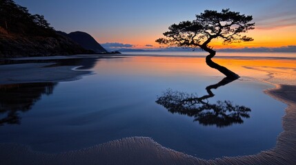 Sunrise beach tree reflection; peaceful dawn scene