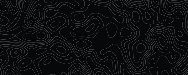 Elegant and Highly Detailed Topography Vector Illustration with Intricate Linework and Smooth Contours

