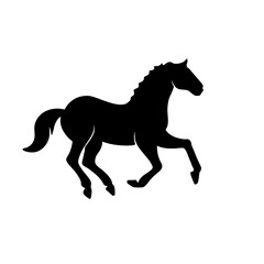 Obraz premium horse silhouette