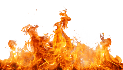 fire isolated over white background or transparent backround for graphic designs assets.