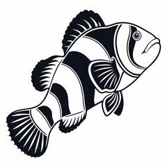 Clownfish vector silhouette black design white background